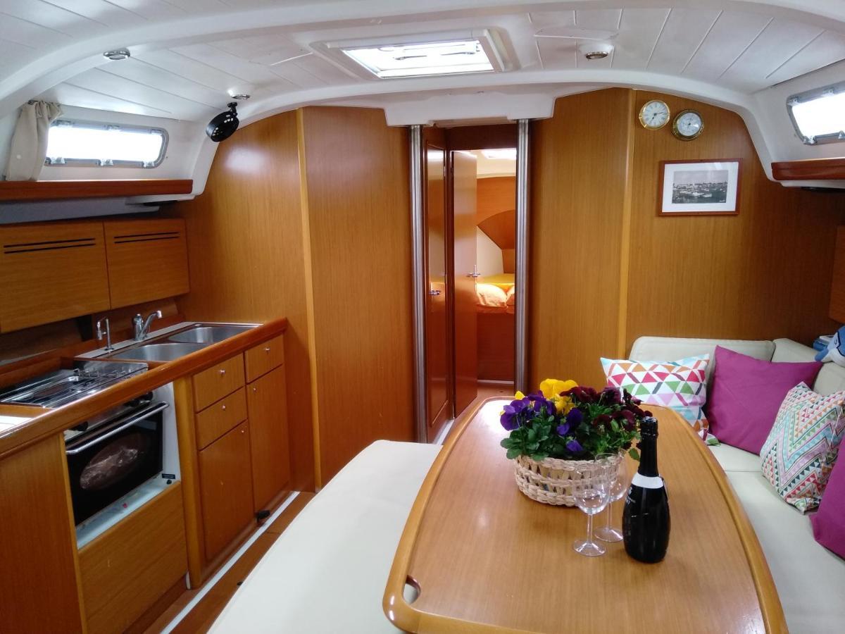 Sealife Experience On Sailboat Alexej *